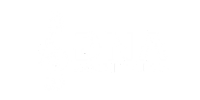 DNA Dance Projects